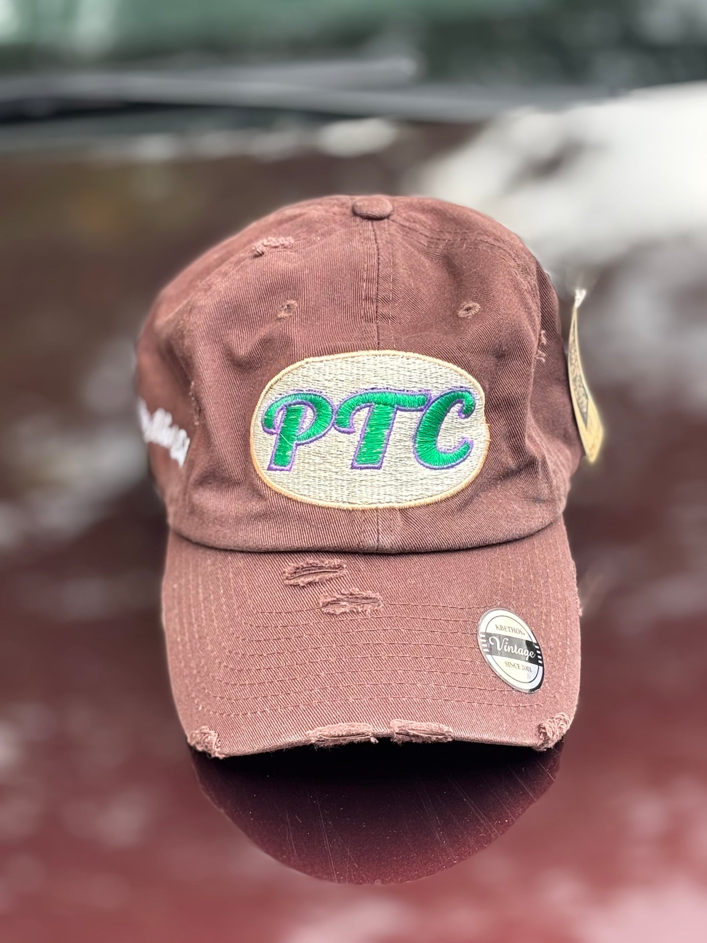 Protect The Creative distressed hats