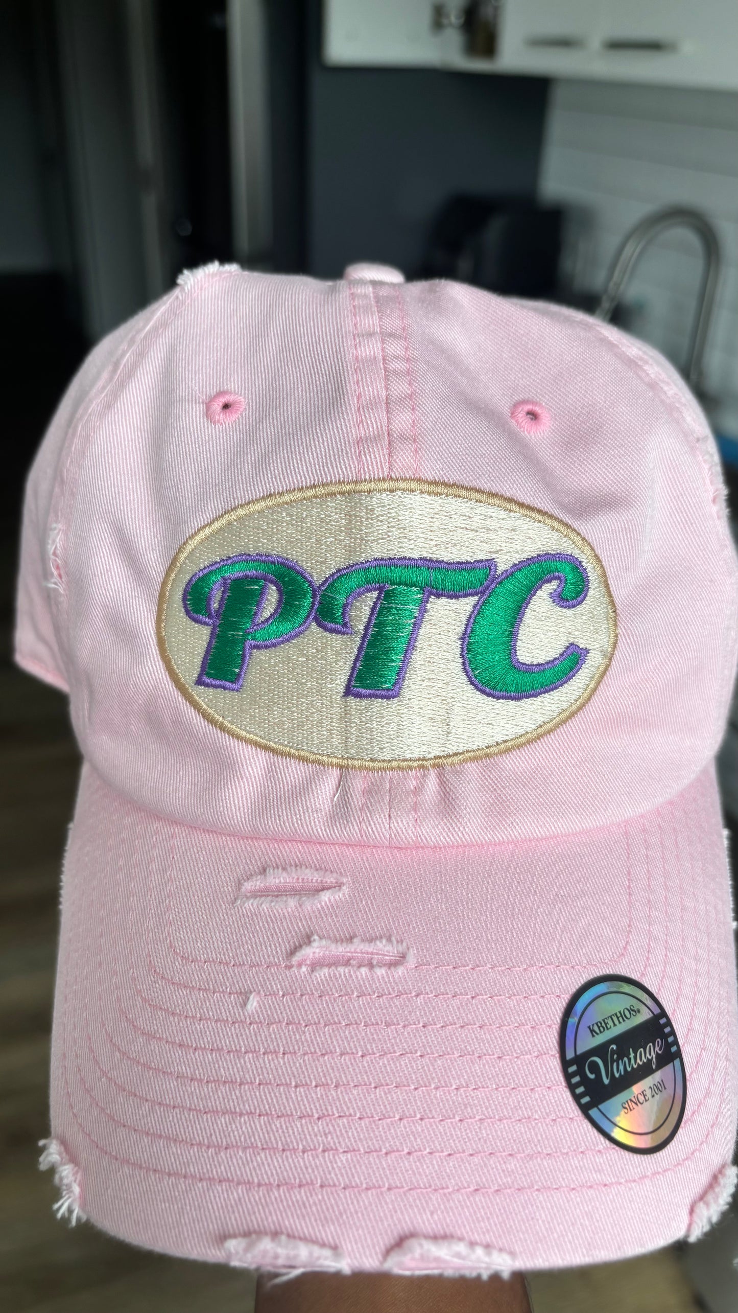 Protect The Creative distressed hats